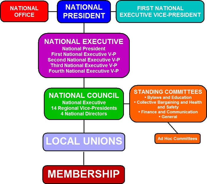 Organization chart