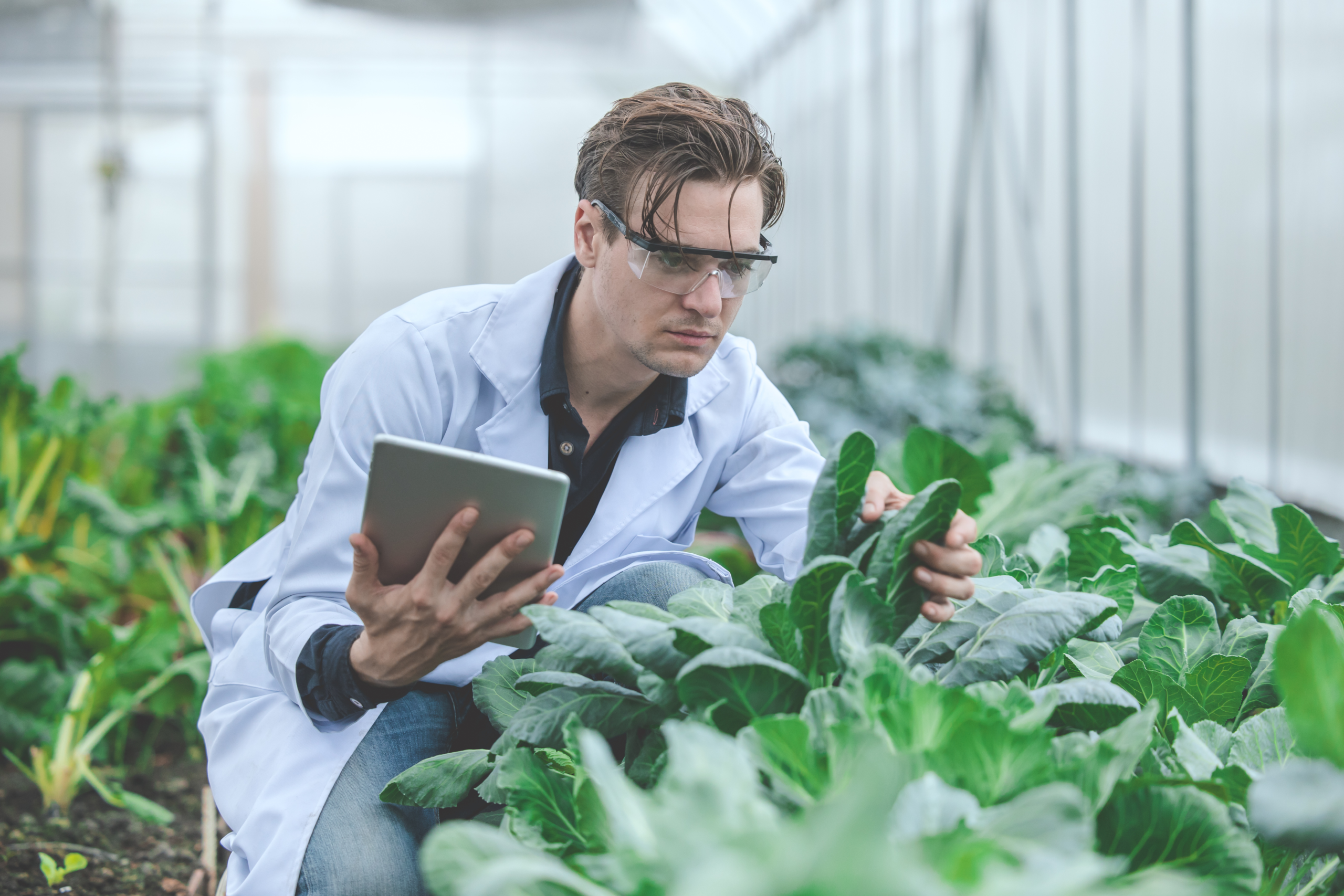 Un rapport du comité parlementaire confirme que la fermeture des centres de recherche agricole menace des emplois, les fermes et la sécurité alimentaire
