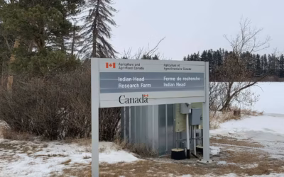 Malgré l&rsquo;entente entre Ottawa et la Saskatchewan, les fermes de recherche restent menacées