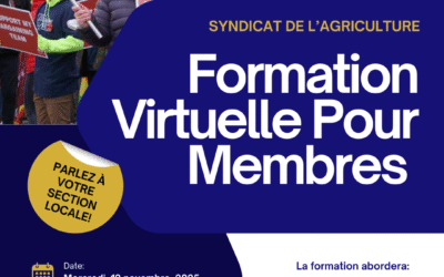 Formation virtuelle pour membres – 12 novembre, 2025