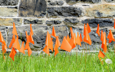 Vérité, réconciliation et la souvraineté alimentaire